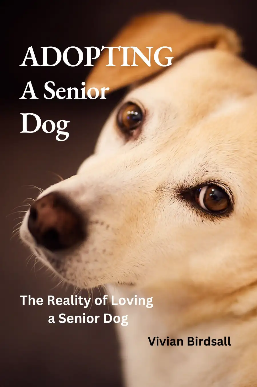 Adopting a Senior Dog: The Reality of Loving a Senior Dog Image